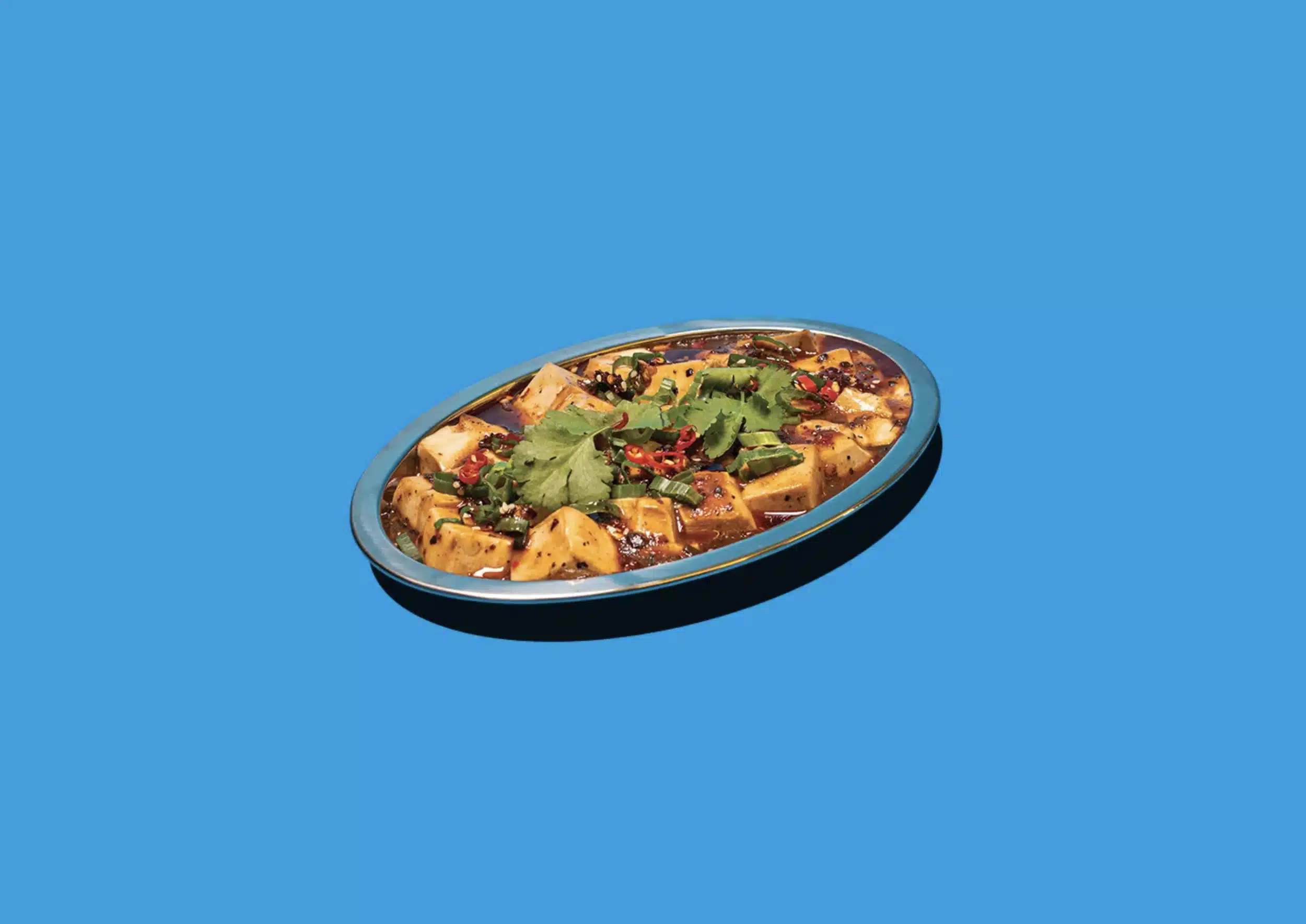 Mapo Tofu