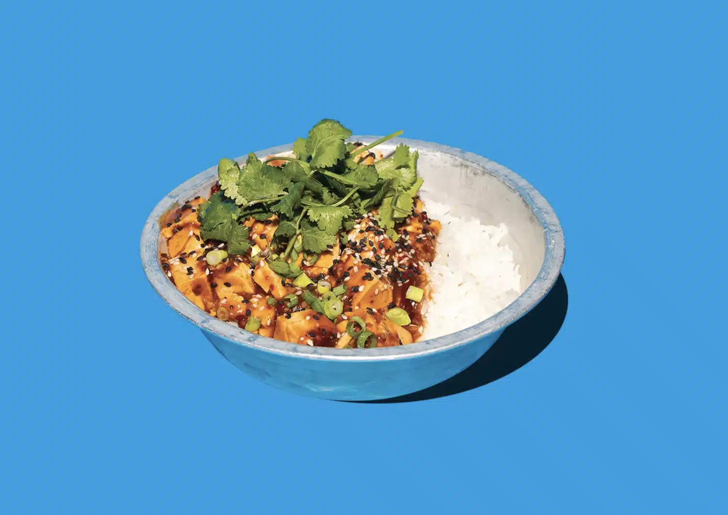 Mapo Tofu