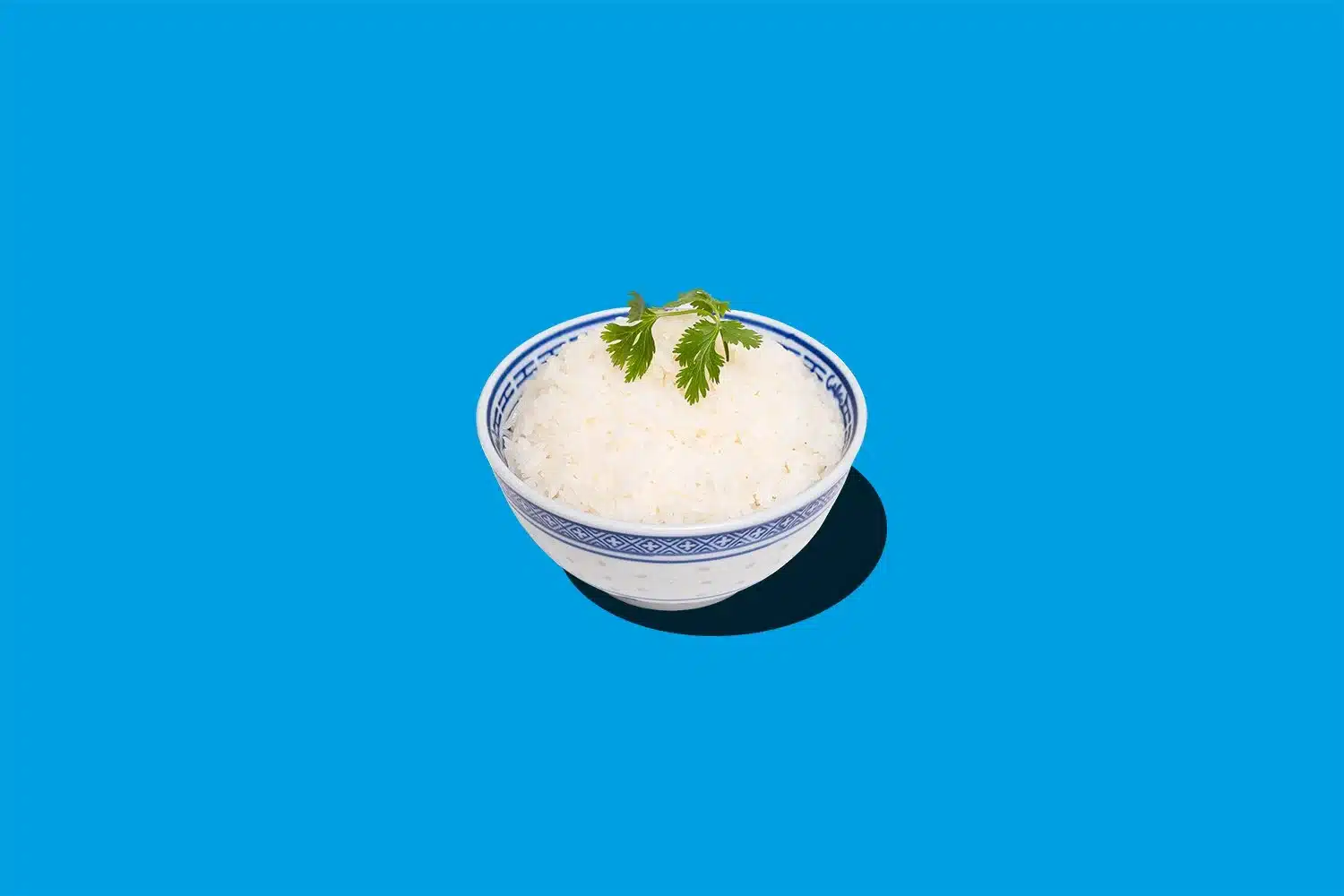 Bai Fan
